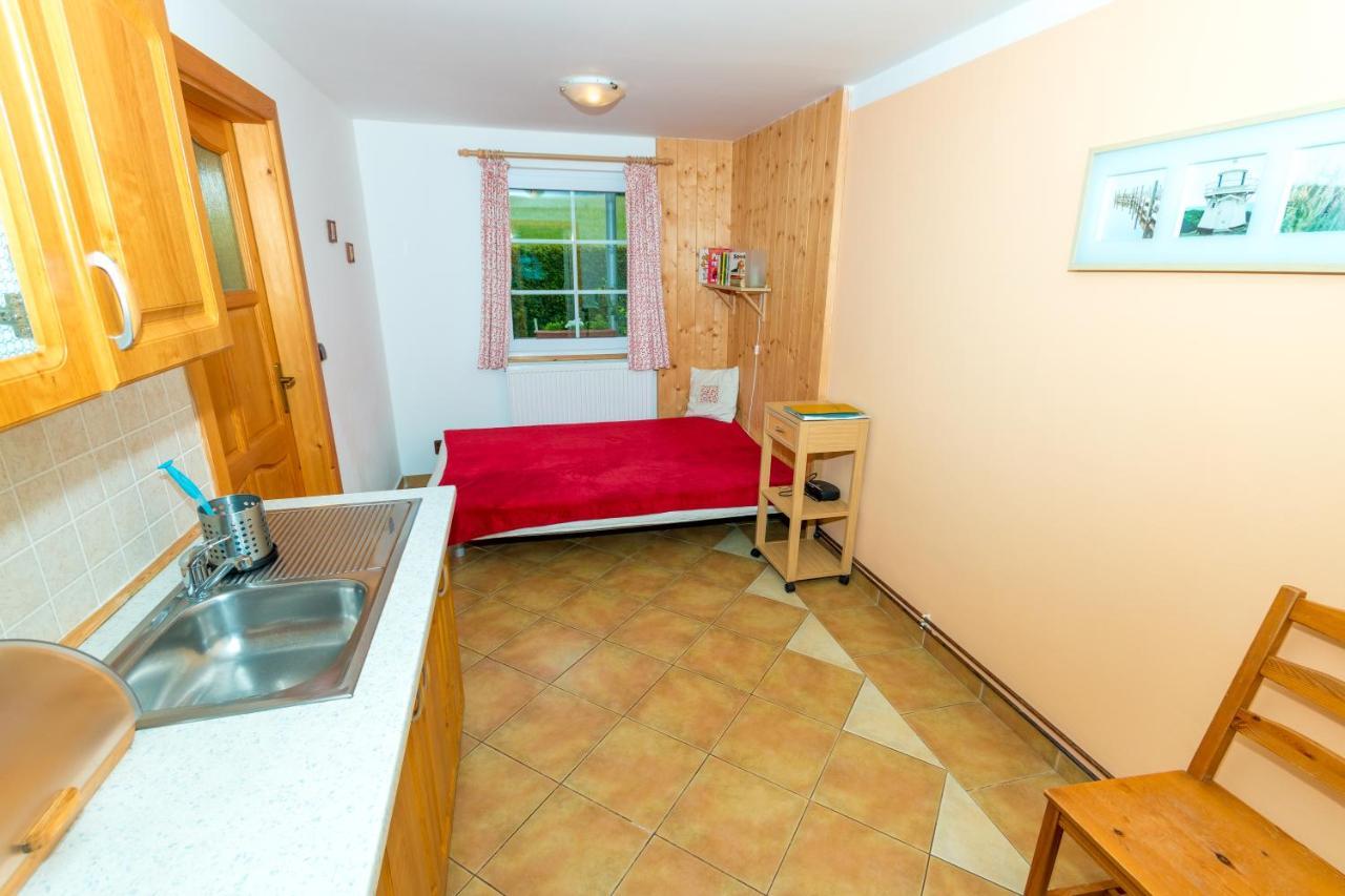Apartments U Jezera Cerna Черна-в-Пошумави Экстерьер фото